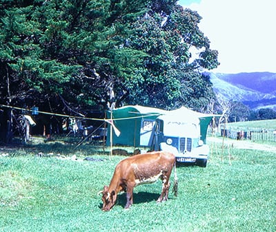 Camping and grazing livestock. Wilfred (Bill) McAra papers. MSS & Archives 94/4.