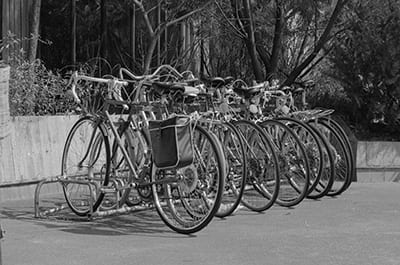 Bicycles in bicycle rack on campus, 1981
