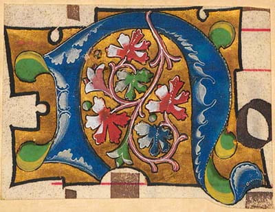 Detail of the initial 'N'