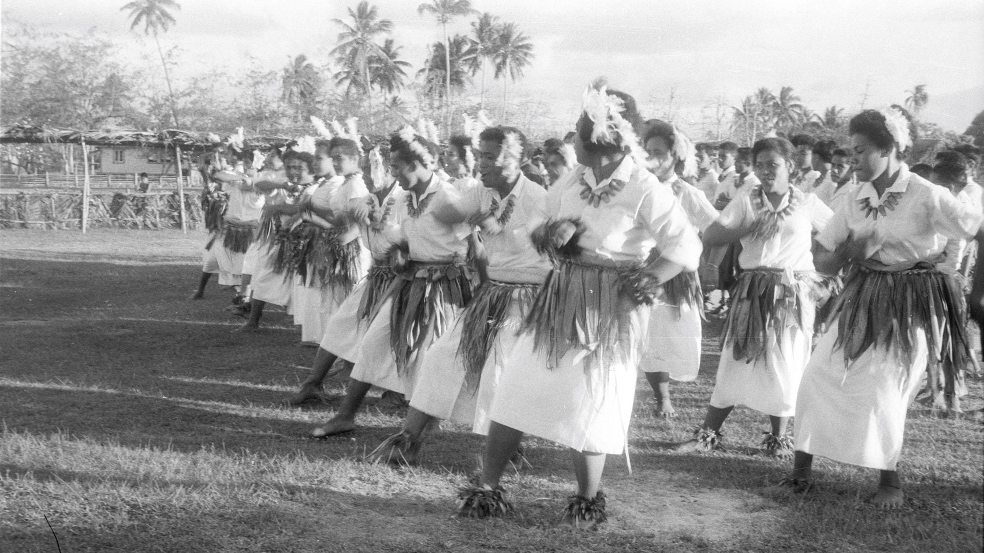 Tongan fieldwork from Anthropology Photographic Archive